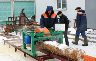 Бревнопильный станок для тонкомера Триумф Б200